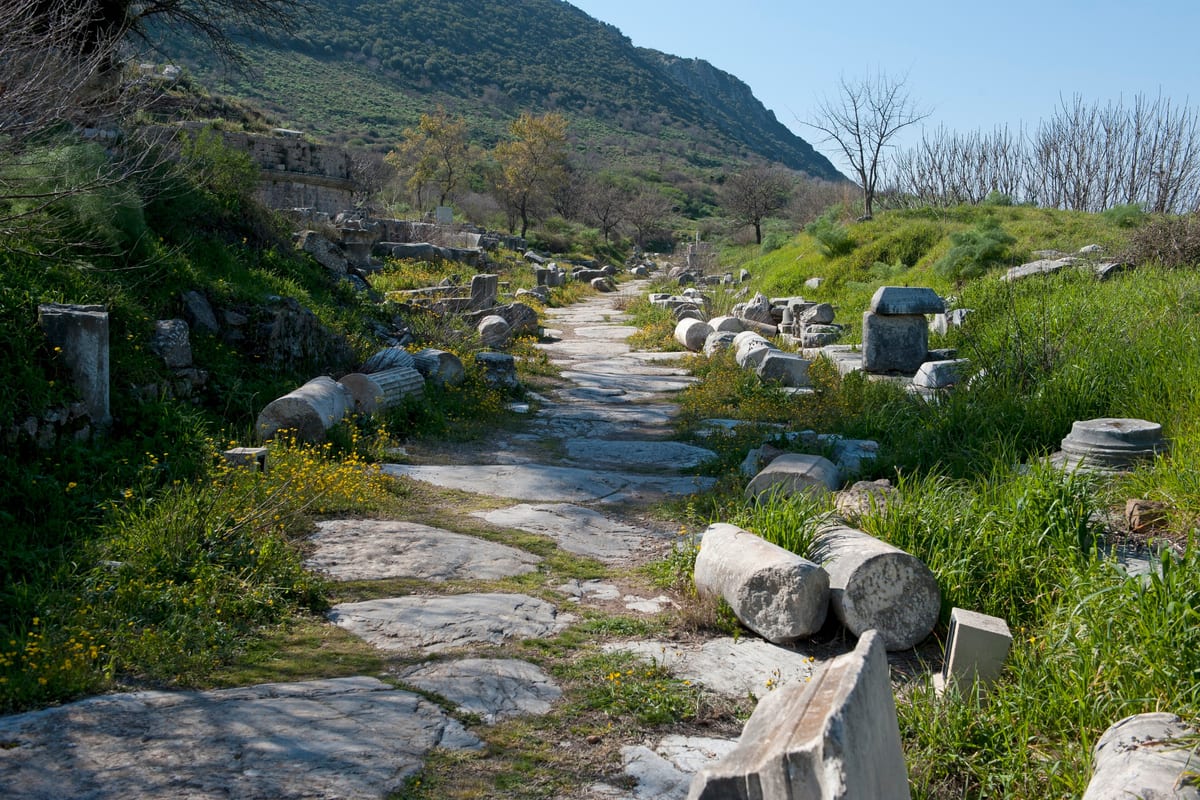 The ancient paved road near the Magnesian Gate at Ephesus in spring, lined with fallen columns and yellow wildflowers
