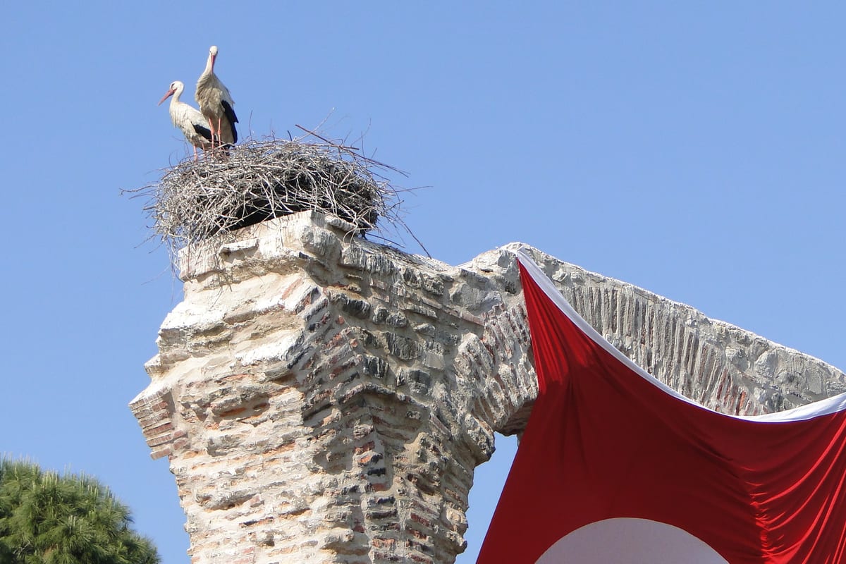 Two white storks on their nest on top of the Byzantine aqueduct in Selcuk, with a large Turkish flag hanging from the arch