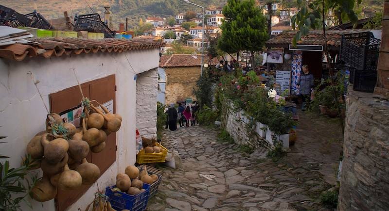 A stone-paved lane in Sirince village lined with dried gourds, potted plants and blue and white ceramic plates